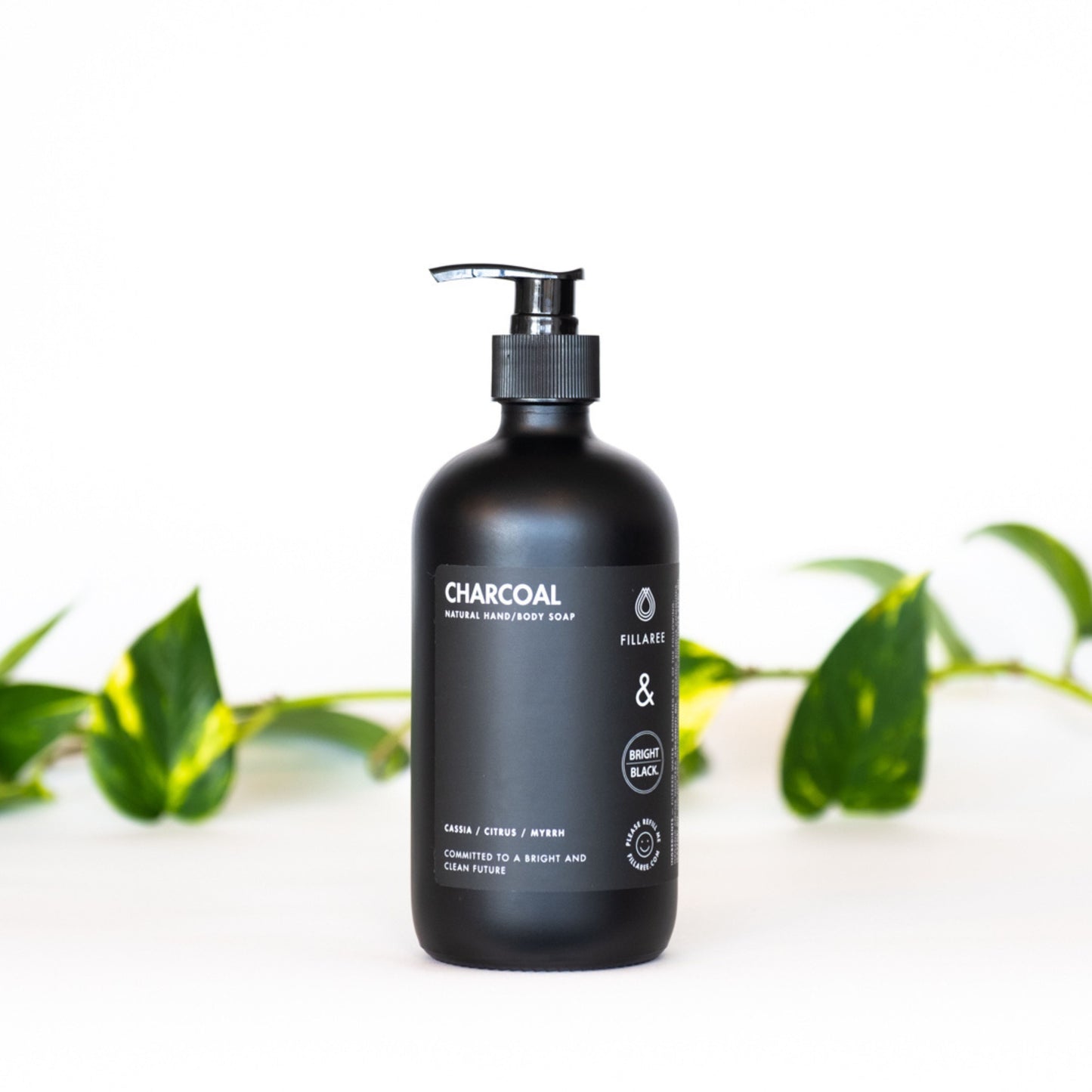 Charcoal Hand & Body Soap