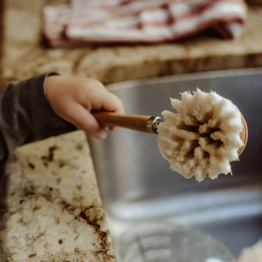 Fillaree Zefiro Bamboo Long Handle Dish Brush, biodegradable, vegan, and plastic-free. Eco-friendly dishwashing solution