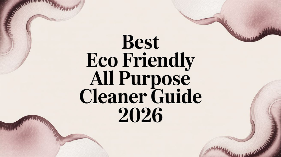 Best Eco Friendly All Purpose Cleaner Guide 2026