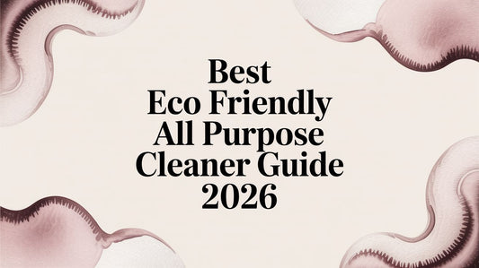 Best Eco Friendly All Purpose Cleaner Guide 2026