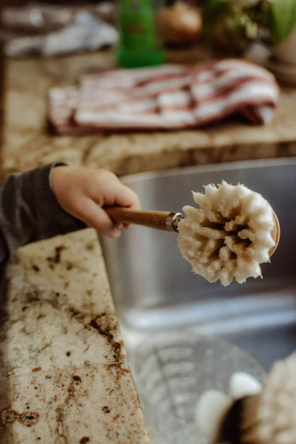 Zefiro Bamboo Long Handle Dish Brush